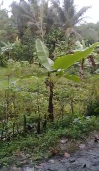 TaNah Murah akses MobiL diRumpin Bogor