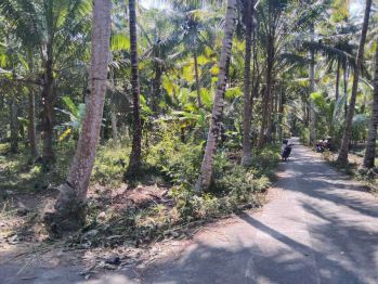 JUAL TANAH KULONPROGO DI BOJONG PANJATAN