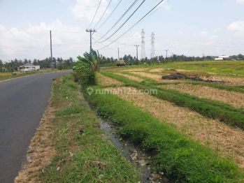 Hot List Di Jual Tanah Pinggir Jalan Lokasi Kaba Kaba Kediri Tabanan