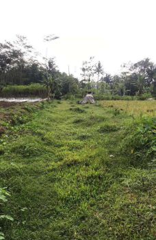 DIJUAL TANAH MURAH SHM SLEMAN