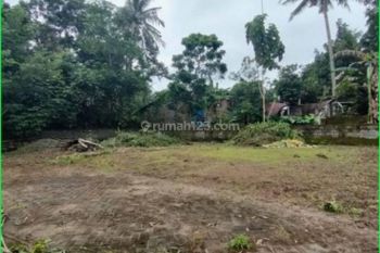 Tanah Murah Seyegan, SHM Ready