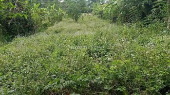Hot List Di Jual Tanah View Gunung Lokasi Petang Badung