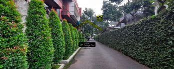 Disewa Rumah Kemang dengan Kolam Renang, Cimpedak, Jakarta Selatan
