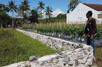 Info Tanah Dijual Ngaglik Sleman, Tanah Dekat Pasar Kolombo