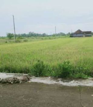 TANAH DI DEKAT PRAMBANAN COCOK UNTUK HOME STAY ,GUDANG & HUNIAN