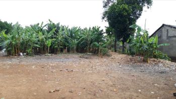 Tanah 3653mtr Shgb 3,8jt/m jati padang Pejaten akses mbl