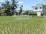 thumbnail-dijual-murah-luas-tanah-5-are-view-sawah-lingkungan-villa-di-ubud-3