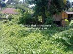 thumbnail-dijual-murah-luas-tanah-5-are-view-sawah-lingkungan-villa-di-ubud-4