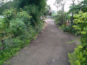 Tanah Murah Belakang Kantor Kecamatan Curug Kota Serang