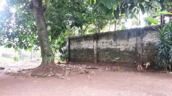 Tanah dijual 300 m2 dan 600 m2 di Jombang Ciputat Tangerang selatan