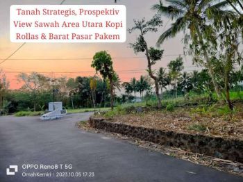 dijual tanah view sawah
