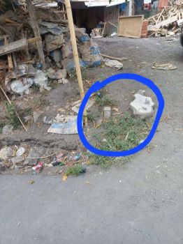 Tanah GLOBAL 116m2 dkt Jalan di MUDING MEKAR