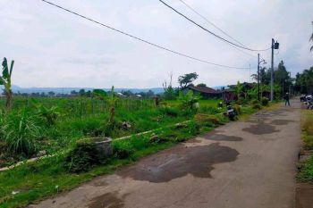 Di Jual Lahan 3850 Di Prambanan Bokoharjo