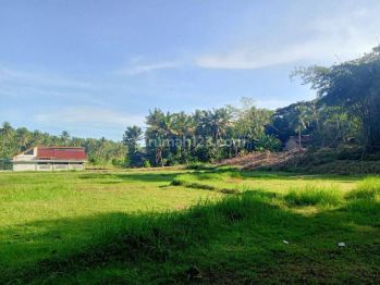 800 Rb Investasi Tanah Area Exit Tol, Pasti Cuan