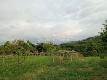 Di jual tanah cisirem bantar gadung shm luas 5,6ha harga 55rb/m