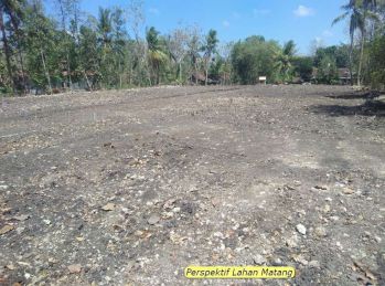 Super Dealsember Tanah SHM Dekat Kampus UNPAM, Terima Lahan Matang