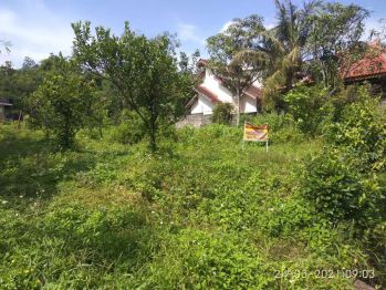 Dijual Tanah SHM Luas 1200 m2 di Ngijo Gunung Pati