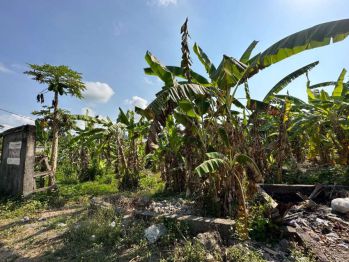 Tanah di jual 5 are/500m di Saba lingkungan aman dan asri