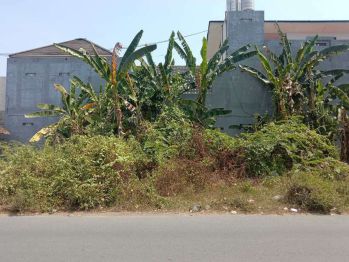 Tanah Strategis Pinggir Jalan Brajan Timur Kampus UMY Dalam Ringroad