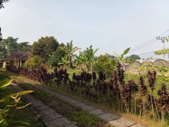 Tanah posisi di hook di Megamendung, Bogor
