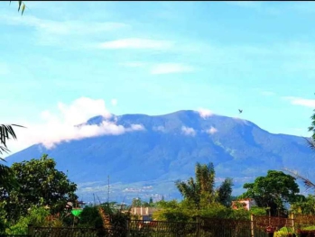 Villa Kota Bunga Puncak Natal & akhir tahun old & new