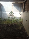 thumbnail-disewakan-rumah-di-green-valley-serpong-garden-cisauk-tangerang-5