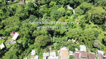 Dijual Tanah Murah Luas Tanah 6 Are View Hutan di Tegallalang Ubud