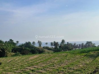 Tanah 150 meter dari pantai zona pariwisata murah di bali