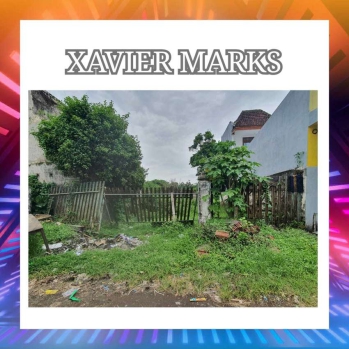 Tanah Murah di Row Jalan Provinsi. Cocok untuk Hotel/Minimarket