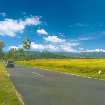 Dekat Menoreh Hill Jogja: Kavling Homestay Siap AJB