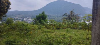Tanah Kavling Desa Wisata Sentul Paradise Puncak Bogor