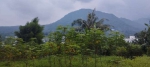 thumbnail-tanah-kavling-desa-wisata-sentul-paradise-puncak-bogor-1