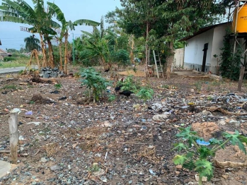 Dijual Tanah uk 11x15 (sporadik) tanahya subur