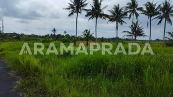 Jual Tanah Sawah 19 Are Angantaka Abiansemal Badung