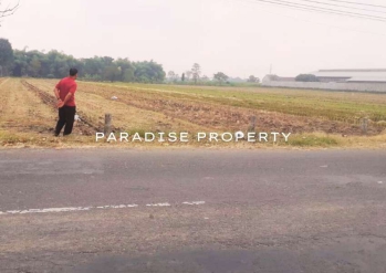 Dijual Lahan Luas Nol Jalan Raya Jombang