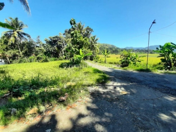 Dekat Kopi Ampirono Menoreh, Tanah Cocok Villa View Sawah