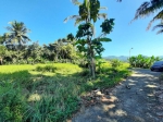 thumbnail-dekat-kopi-ampirono-menoreh-tanah-cocok-villa-view-sawah-4