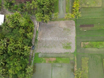 SHM Siap Akad Notaris, View Sawah, Dekat Yia Jogja