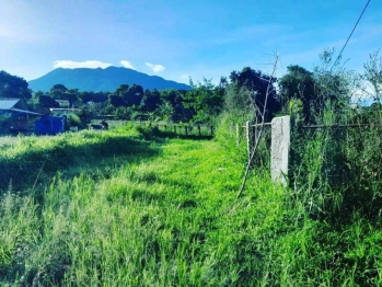 Jual Tanah Pinggir Jalan Puncak Bogor dekat Eiger