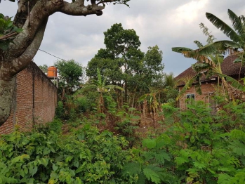 Dijual tanah di jalan Anggrek sekarpuro sawojajar 2 Malang