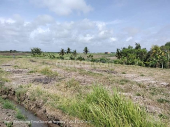 4,600 sqm farming land for sale with panoramic views in Kelecung, Bali