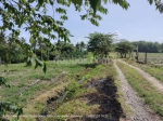 thumbnail-4600-sqm-farming-land-for-sale-with-panoramic-views-in-kelecung-bali-2