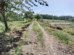 thumbnail-4600-sqm-farming-land-for-sale-with-panoramic-views-in-kelecung-bali-4
