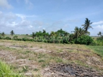 thumbnail-4600-sqm-farming-land-for-sale-with-panoramic-views-in-kelecung-bali-3