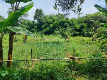 Tanah Jl Raya Parung Gunung Sindur Kab Bogor