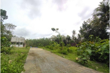 Dekat Stadion Cangkring Wates, Lingkungan Asri, Cocok Hunian