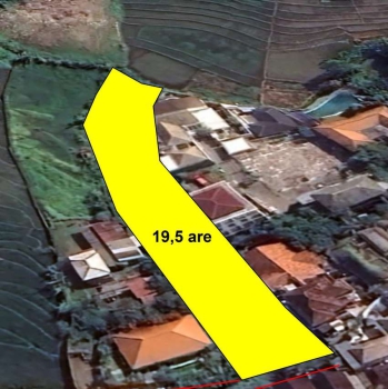 DIJUAL TANAH MURAH CANGGU BRAWA LUAS 19,5 ARE ZONA KUNING