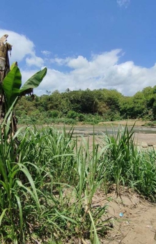 Tanah murah Di Nanggulan Kulon Progo