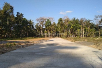 4 Kilometer Bandara Yia Kulon Progo, Tanah Jogja Cocok Investasi