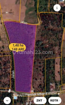 Hot List Di Jual Tanah View Gunung Bukit Lokasi Gesing Banjar Buleleng